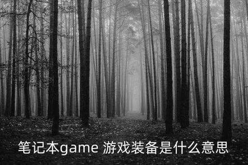 游戏装备的解释意思是什么，笔记本game 游戏装备是什么意思