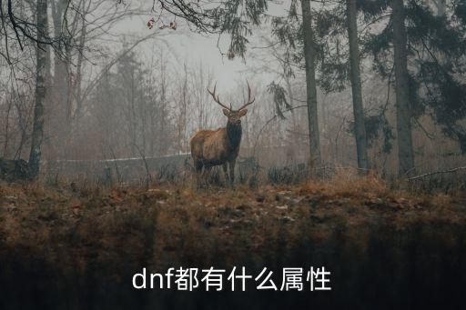 dnf都有什么属性