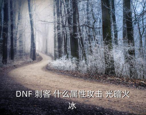 dnf 刺客什么属性，DNF 刺客 什么属性攻击 光暗火冰