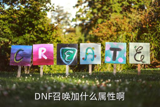 DNF召唤加什么属性啊