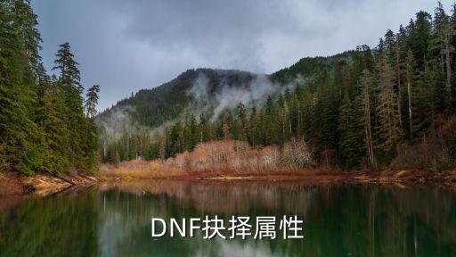 dnf圣者遴选什么属性，DNF圣职者买商城衣服最好选什么属性