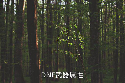 DNF武器属性