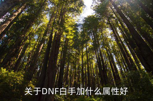 关于DNF白手加什么属性好