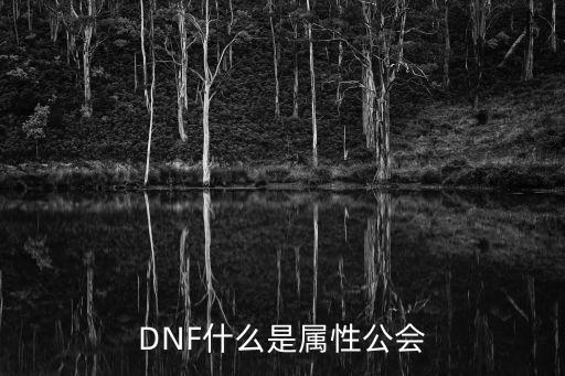 DNF什么是属性公会