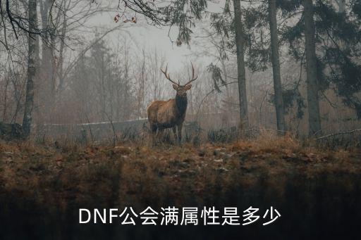 DNF公会满属性是多少