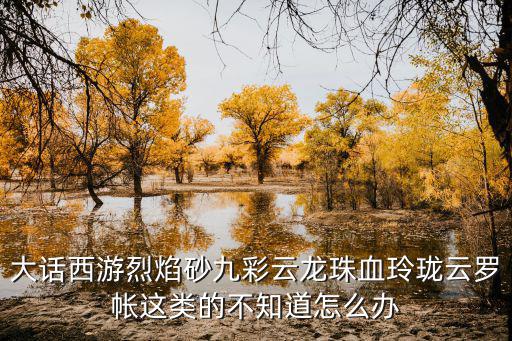 九彩云龙珠是什么游戏装备，大话三要打个水玲珑的兵器需要准备什么