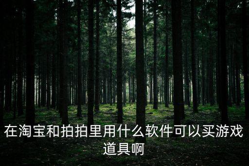 在淘宝和拍拍里用什么软件可以买游戏道具啊