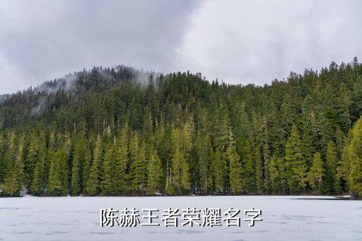 陈赫王者荣耀名字