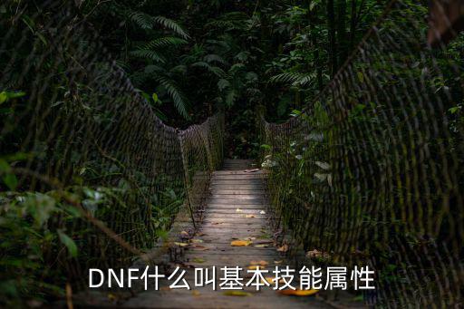 DNF什么叫基本技能属性