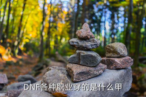 DNF各种职业穿的是什么甲