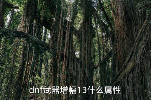 dnf武器增幅13什么属性