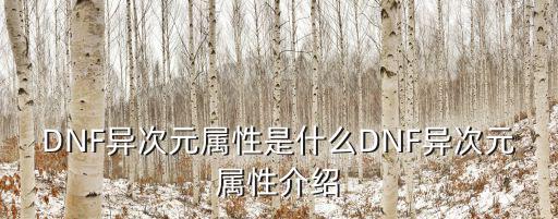 DNF异次元属性是什么DNF异次元属性介绍