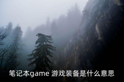 笔记本game 游戏装备是什么意思