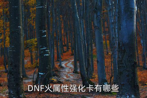 DNF火属性强化卡有哪些