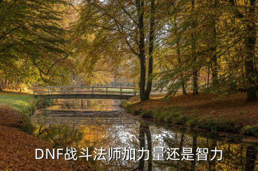 DNF战斗法师加力量还是智力