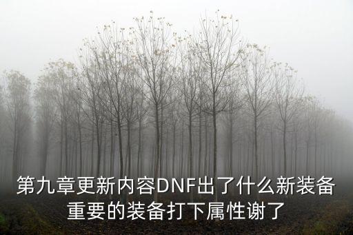 第九章更新内容DNF出了什么新装备重要的装备打下属性谢了