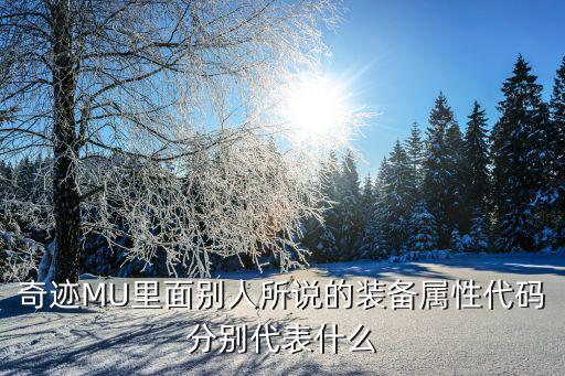 奇迹MU里面别人所说的装备属性代码分别代表什么