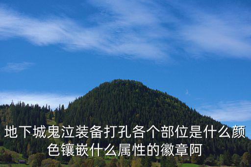 地下城鬼泣装备打孔各个部位是什么颜色镶嵌什么属性的徽章阿