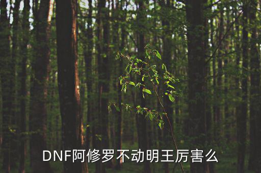 DNF阿修罗不动明王厉害么