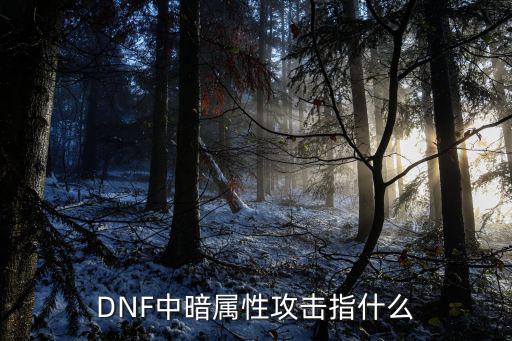 dnf什么打暗属性，DNF中暗属性攻击指什么