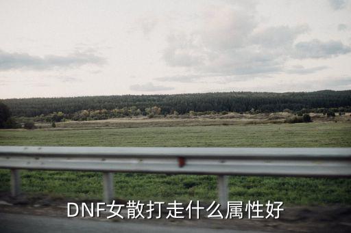 DNF女散打走什么属性好