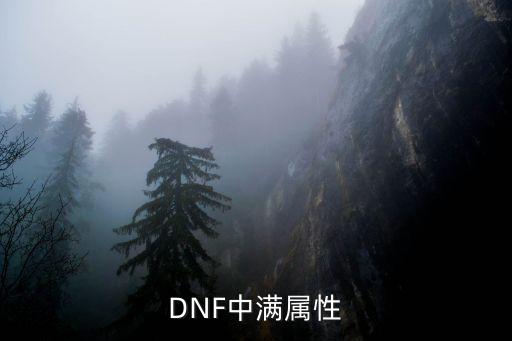 DNF中满属性