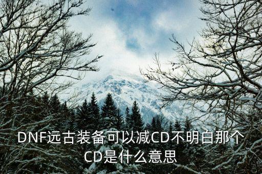 DNF远古装备可以减CD不明白那个CD是什么意思