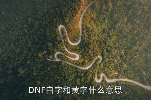 dnf黄字代表什么属性，Dnf里黄字白字爆伤都是啥意思