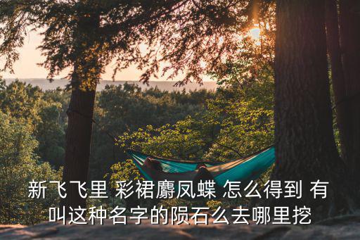 彩裙麝凤蝶是什么游戏装备，炫舞这2样装备叫什么名字