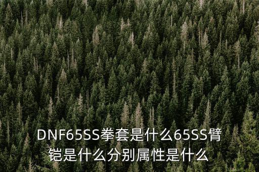 DNF65SS拳套是什么65SS臂铠是什么分别属性是什么