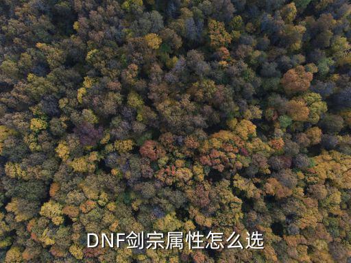 DNF剑宗属性怎么选