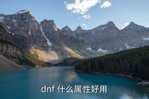 dnf 什么属性好用