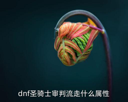 dnf圣骑士审判流走什么属性