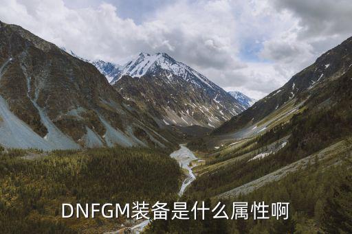 DNFGM装备是什么属性啊