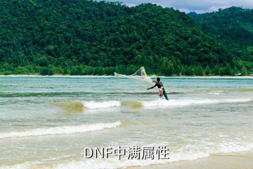 dnf满属性是什么，地下城满属性是什么意思