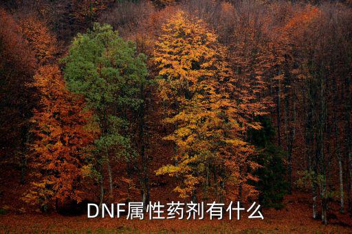 DNF属性药剂有什么