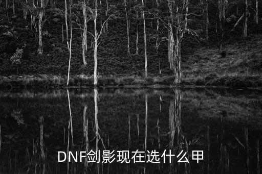 DNF剑影现在选什么甲