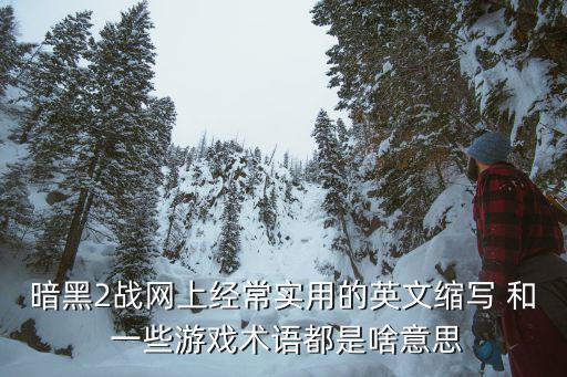 游戏装备注意什么问题英语，暗黑2战网上经常实用的英文缩写 和 一些游戏术语都是啥意思