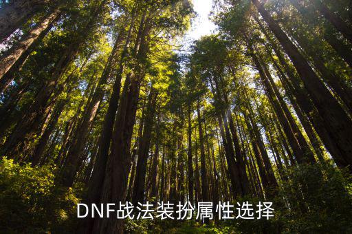 DNF战法装扮属性选择