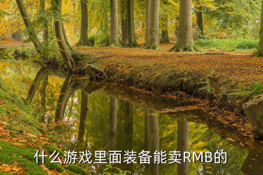 什么游戏里面装备能卖RMB的