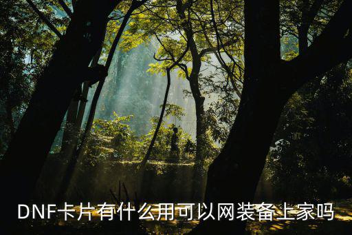 DNF卡片有什么用可以网装备上家吗