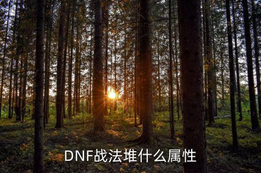 DNF战法堆什么属性