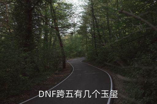 DNF跨五有几个玉玺