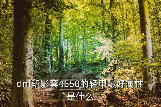 dnf斩影套4550的轻甲最好属性是什么