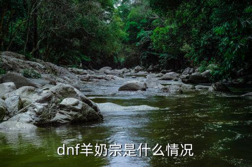 dnf羊奶宗是什么情况