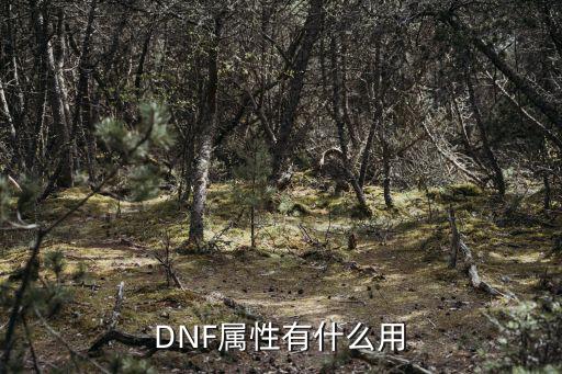 dnf加什么属性有用，DNF各属性有什么用