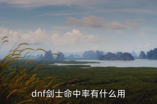 dnf剑士命中率有什么用