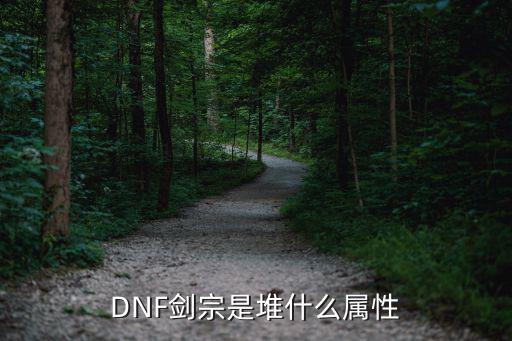 dnf剑宗加什么属性，DNF剑宗是堆什么属性