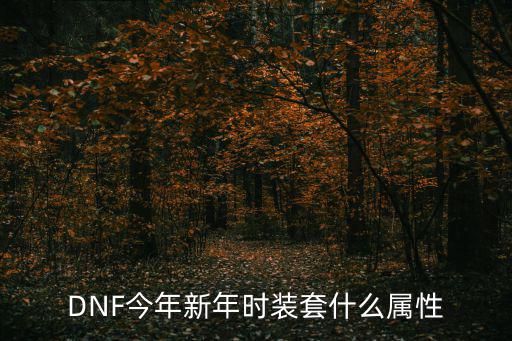 dnf新年套什么属性，Dnf新年套时装属性