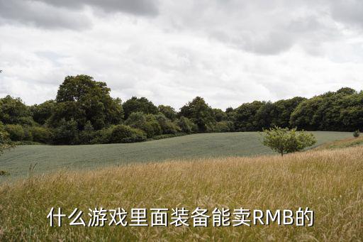 什么游戏里面装备能卖RMB的